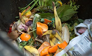 Biologische Abfälle gehören in die Grüne Tonne. Bei warme Temperaturen aber drohen unangenehme Gerüche und der Besuch von unliebsamen Krabbeltieren. - Verwendung weltweit