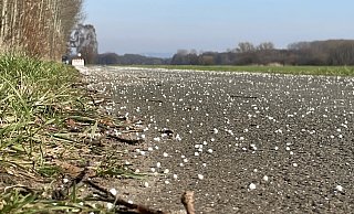 Es sieht aus, als ob es kräftig gehagelt hätte. Überall auf der Straße Poggenfahrtsgraben liegen weiße Körner. - Tasja Klusmeyer
