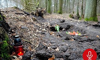 In dieser Senke am Rande eines Wäldchens im Haller Ortsteil Kökebeck wurde im Februar 2012 die Leiche von Nelli Graf gefunden. Doch Mord verjährt nicht, und die Ermittlungseinheit Cold Case untersucht das ungeklärte Verbrechen gerade erneut. - Nicole Donath