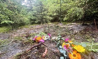 Am Leichenfundort von Marion S. mitten in einer Tannenschonung eines kleines Waldstückes wurden vor Wochen Blumen abgelegt. Aber wie kam die 68-Jährige hier hin – noch lebend oder bereits tot? Der Fall wirft noch viele Fragen auf. - Wolfgang Wotke