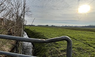 Die Fläche im Naturschutzgebiet Bruch neben dem "Alten Ziegenbach" (l.) liegt oft trocken. Damit sie mehr Feuchtwiesenfunktion erfüllen kann, sollen dort Tiefenzonen geschaffen werden. - Tasja Klusmeyer