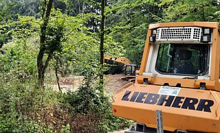 Mit schwerem Gerät wurden auf der Anlage seit Jahren Fakten geschaffen. Mittlerweile hat der Kreis Gütersloh einen Baustopp verhängt und einen Ortstermin mit der Eigentümerin gehabt. - Jonas Damme
