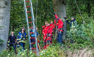 In Halle landete am Sonntag ein Gleitschirmflieger ungeplant in einem Baum. Die Höhenrettung musste anrücken. - Paul Brinkmann