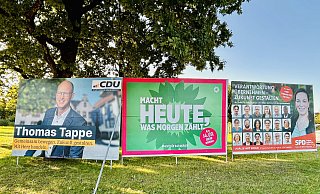 Drei Wahlplakate im Haller Stadtbild: CDU und SPD setzen auf Porträts ihrer Kandidaten, während die Grünen mit einem prägnanten Slogan punkten. - Nicole Donath