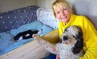 Im Welpen-Unterschlupf: Im weitläufigen Garten von Iris Beeke gibt es mehrere Häusschen, in die sich Hunde die Ruhe suchen, zurück ziehen können. Hier kuschelt Iris mit Perro de Agua-Mama Curly und ihren sieben Tage alten Welpen. - Carolin Hlawatsch