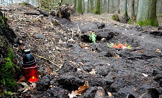 Hier in einer Senke am Rande eines Wäldchens in Kölkebeck fand ein Landwirt im Februar 2012 die sterblichen Überreste von Nelli Graf. - Nicole Donath
