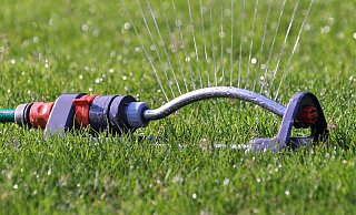 Im Sommer appellierte die Stadt an die Versmolder, sparsamer mit Wasser umzugehen und beispielsweise aufs Rasensprengen zu verzichten. Steigender Verbrauch und erforderliche Investitionen ins Leitungsnetz führen nun zur Preisanpassung. - CCO Pixabay