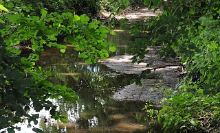 Der Laibach soll als zentrales Element durch den Wald östlich des Paulinenweges mäandrieren, in dem Storck neue Produktionshallen errichten will. Laut Plan soll die Fläche im bis Ende März gerodet sein, im Sommer könnte die neue Zufahrt im Süden gebaut werden, ab Herbst 2021 würde gebaut. Foto: Rolf Uhlemeier - Rolf Uhlemeier