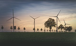 Auf der Egge sollen bis zu vier Windräder errichtet werden. Investoren sehen das als "Riesenchance" für die Stadt. Anlieger sprechen von dramatischen Eingriffen und befürchten politische Kungelei. - Pixabay Themenfoto