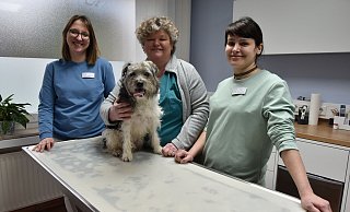 Chefin Sarah Wellhöner (v. l.) und Kollegin Mareike Wichmann mit ihrem Hund Hermann freuen sich über Verstärkung. Seit Anfang des Jahres gehört Ana Mostaan, die in Berlin Veterinärmedizin studierte, zum Team der Kleintierpraxis am Mühlteich. - Birgit Nolte