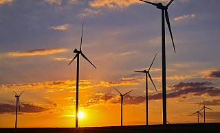 Sechs neue Windräder sollen in Halle entstehen - bis es so weit ist, sind indes noch viele Verfahrensschritte zu bewältigen. - Patrick Pleul/dpa