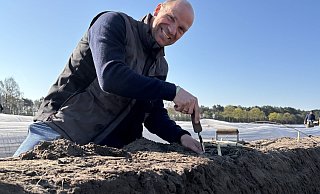 Beim Dissener Landwirt Björn Borgmeyer, dessen Hof an der Grenze zu Versmold liegt, hat die Spargel-Ernte begonnen. Im Altkreis Halle betreibt er den Großteil seiner Verkaufsstände. - Tasja Klusmeyer