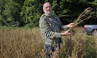 Auf seinen Feldern fühlt sich Hannes Dicke-Wentrup wohl. Aber auch die Arbeit in der Verwaltung würde ihn nicht abschrecken. "Als Landwirt arbeitet man auch viel am Schreibtisch", sagt er. - Silke Derkum-Homburg