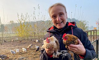 Petra Hagemeier war ziemlich erstaunt, als sie die beiden fremden Hähne am Dienstag entdeckte. - Anke Schneider, HK