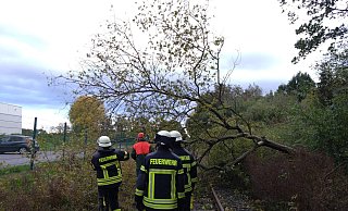 Die Feuerwehr Steinhagen rückte Donnerstagnachmittag aus, um die Gleise an Bahnhof Bielefelder Straße von einem Baum zu befreien. - Feuerwehr Steinhagen