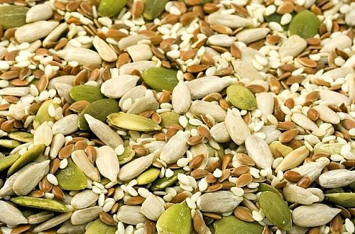 Mit Nüssen und Samen können vegane Gerichte gekocht werden. - © Symbolfoto: Pixabay