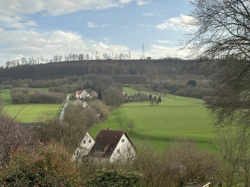 Teaser-Bild