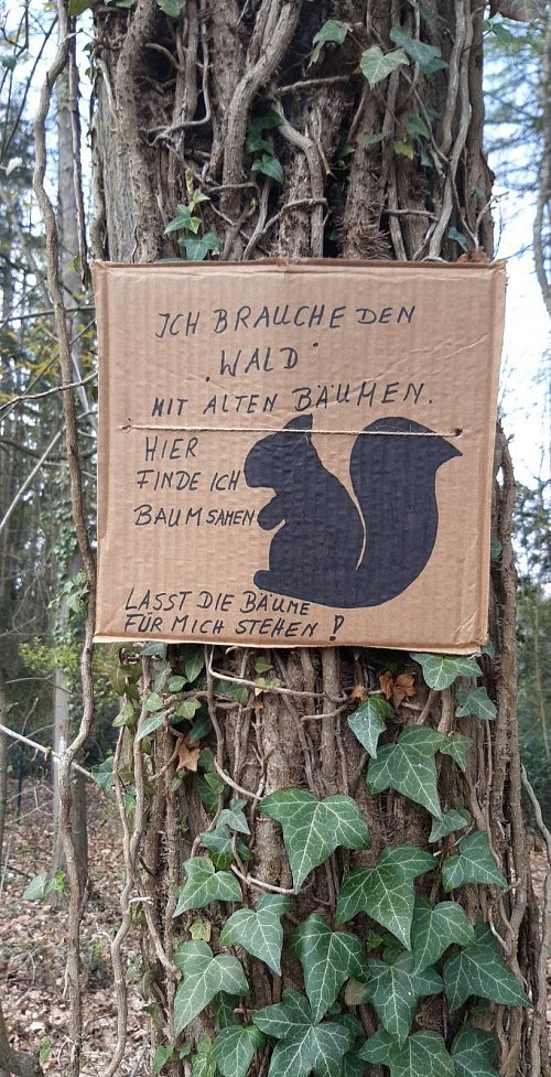 Im Steinhausener Wald sind Plakate aufgehängt worden, die für die Erhaltung des Waldes werben. - © Heiko Kaiser