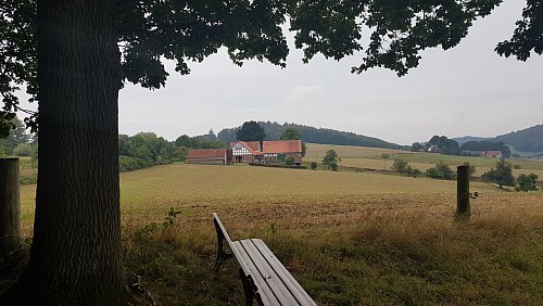 Der Hof der Familie Schürmann gehört heute postalisch zur Straße Berghagen und liegt unweit der Grenze zur Nachbarstadt Werther. - © Uwe Pollmeier