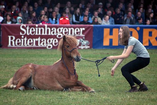 Freiheitsdressur: Der Verein »Vinir« präsentierte die Talente der gezüchteten Islandpferde. - © Edwin Rekate