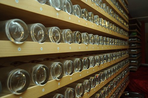 Das eigene Glas muss man sich erarbeiten. Durch regelmäßige Besuche in der Brauerei erhalten die Gäste ein Stammglas. - © Heiko Kaiser