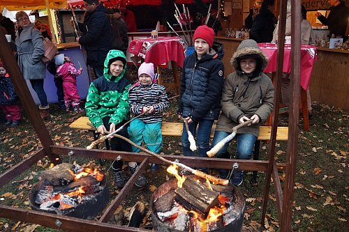 Lecker Stockbrot: Johannes (von links), Muriel, Leander und Adrian haben Spaß am lodernden Feuer. - © Marion Bulla