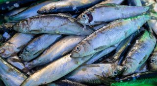 Titel - Copy Titel - Copy