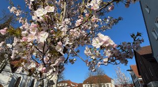 Titel - Copy