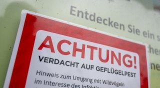 Titel - Copy