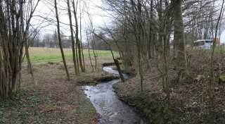 Titel - Copy