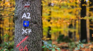 Titel - Copy