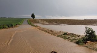 Titel - Copy