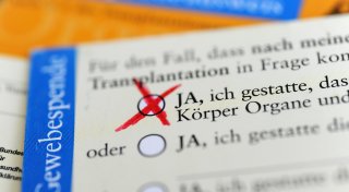 Titel - Copy