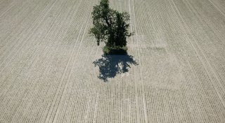Titel - Copy