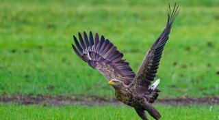 Titel - Copy Titel - Copy