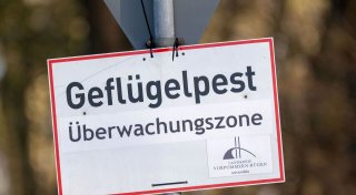 Titel - Copy
