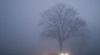 Titel - Copy