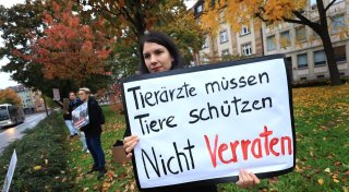 Titel - Copy