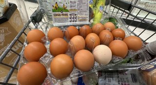 Titel - Copy Titel - Copy