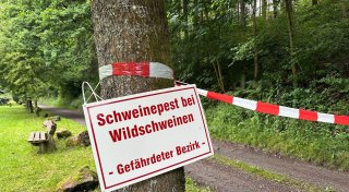 Titel - Copy
