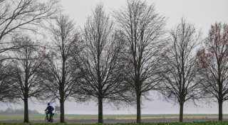 Titel - Copy