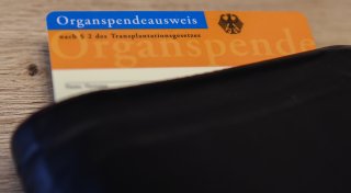 Titel - Copy