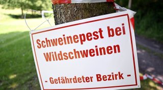 Titel - Copy