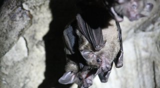 Titel - Copy Titel - Copy