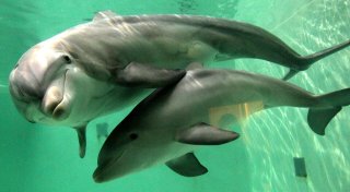 Titel - Copy Titel - Copy