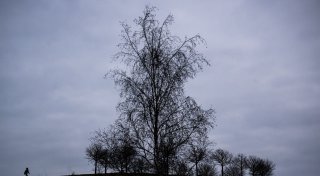 Titel - Copy