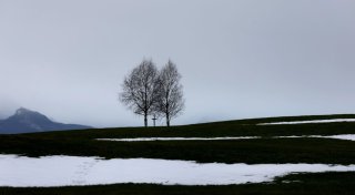 Titel - Copy
