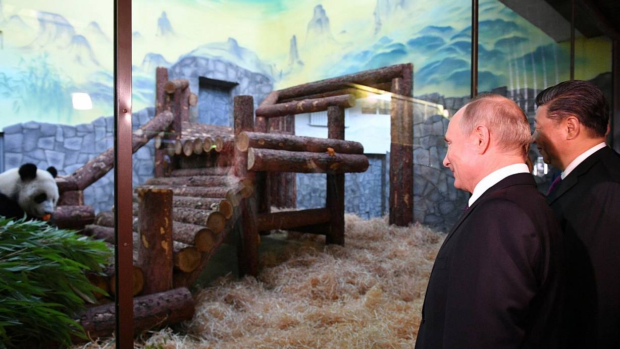 Tiere als Ausdruck freundschaftlicher Beziehungen zwischen den Ländern: Der Moskauer Zoo profitierte auch schon von dieser Art der Diplomatie - als Chinas Staats- und Parteichef Xi Jinping (rechts) Putin Pandabären schenkte. (Archivbild) | © Alexander Vilf/Pool Sputnik Kremlin/AP/dpa