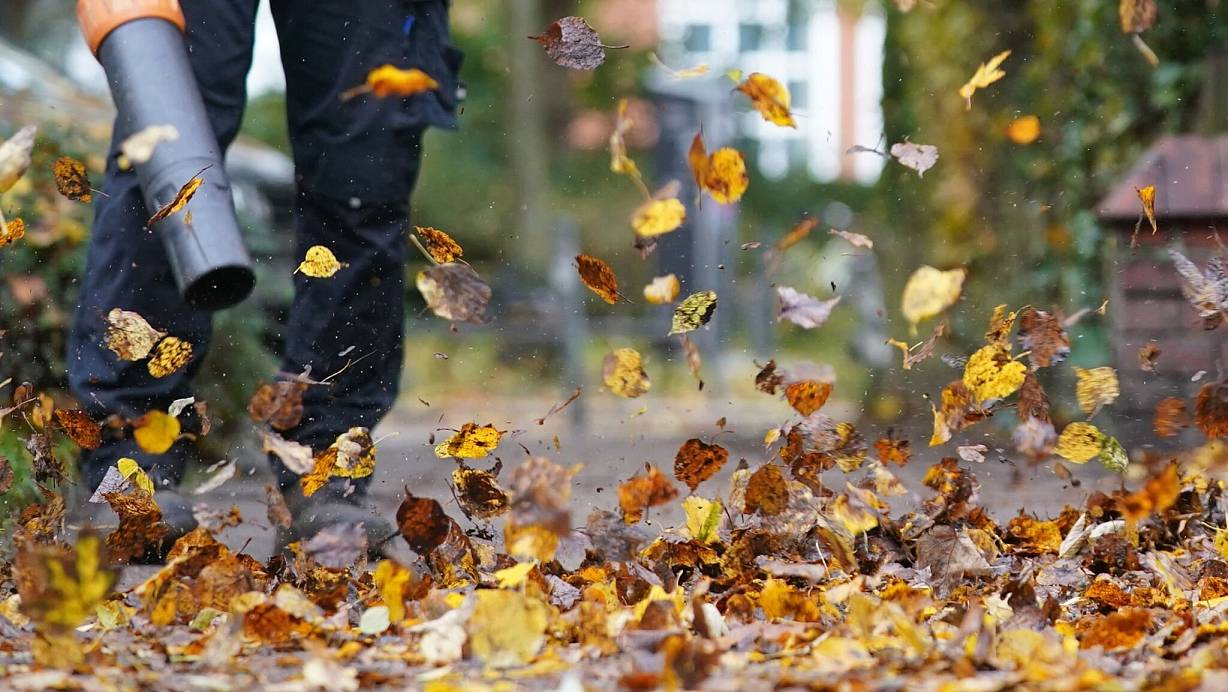 Kampf gegen das Herbstlaub: Laubbläser sind praktische Helfer - aber nur, wenn sie sachgemäß und sicher bedient werden. | © Marcus Brandt/dpa/dpa-tmn