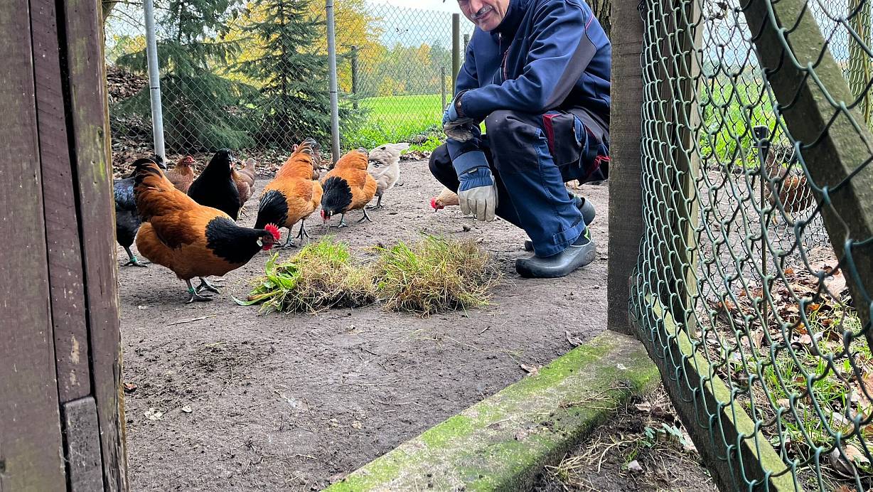 Herbert Quakernack aus Bielefeld ist seit 60 Jahren Rassegeflügelzüchter. | © Mareike Köstermeyer